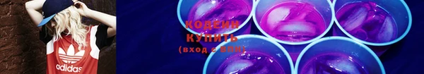 МДПВ Карпинск