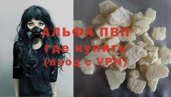 герыч Каменногорск