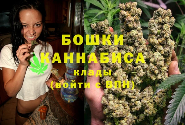 МДПВ Карпинск